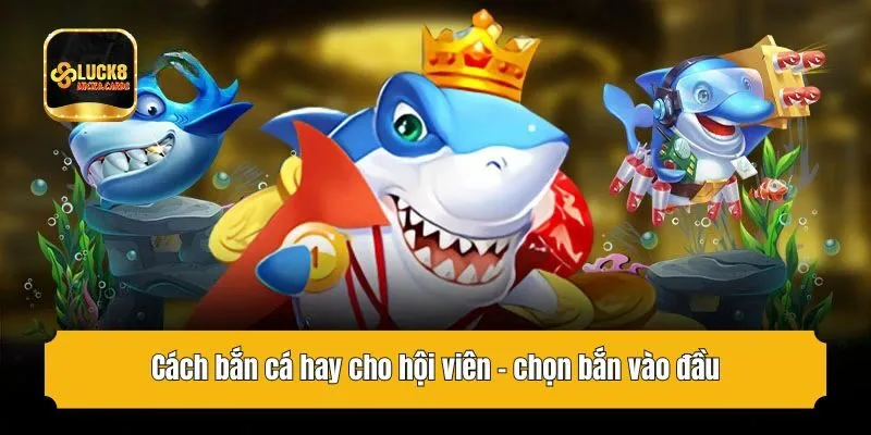 Cách bắn cá hay cho hội viên - chọn bắn vào đầu