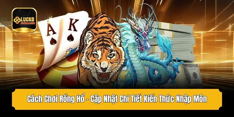 Cách chơi Rồng Hổ cập nhật chi tiết kiến thức nhập môn