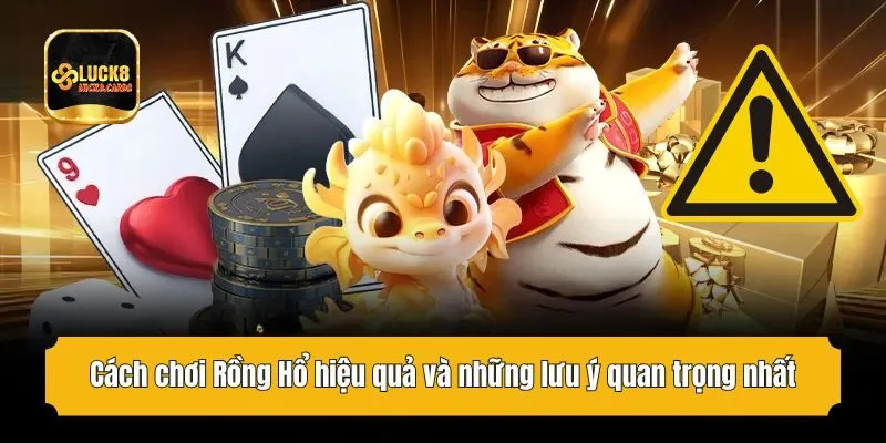 Cách chơi Rồng Hổ hiệu quả và những lưu ý quan trọng nhất