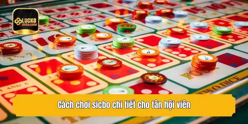 Cách chơi sicbo chi tiết cho tân hội viên