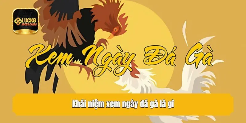 Khái niệm xem ngày đá gà là gì