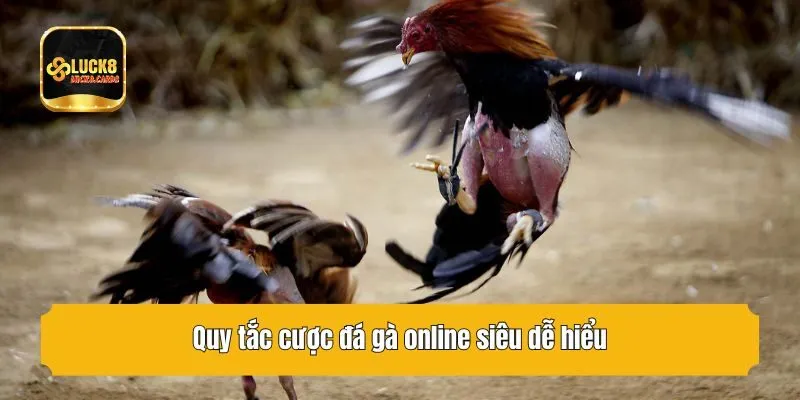Quy tắc cược đá gà online siêu dễ hiểu